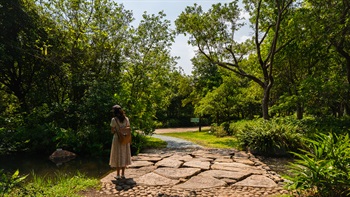 The no-barrier design with large flat stepping stones across the stream allows visitors to closely explore the stream and the aquatic life within.